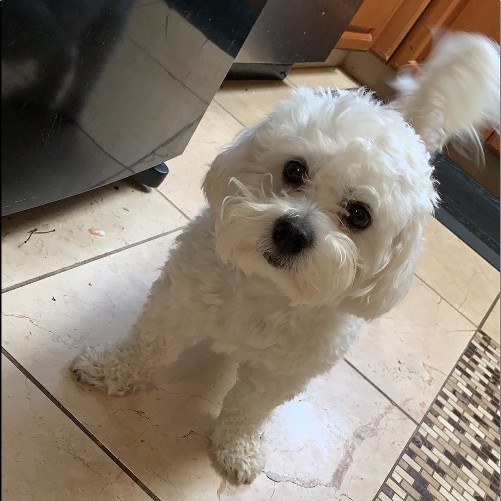 Meet your Posher, Graciela